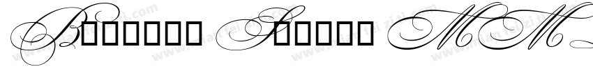 Bickham Script MM Regular字体转换